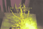 Cover scan: HisNameIsAlive.SingsManOnTheSilverMountainAnd8OtherSongs.postcard.jpg